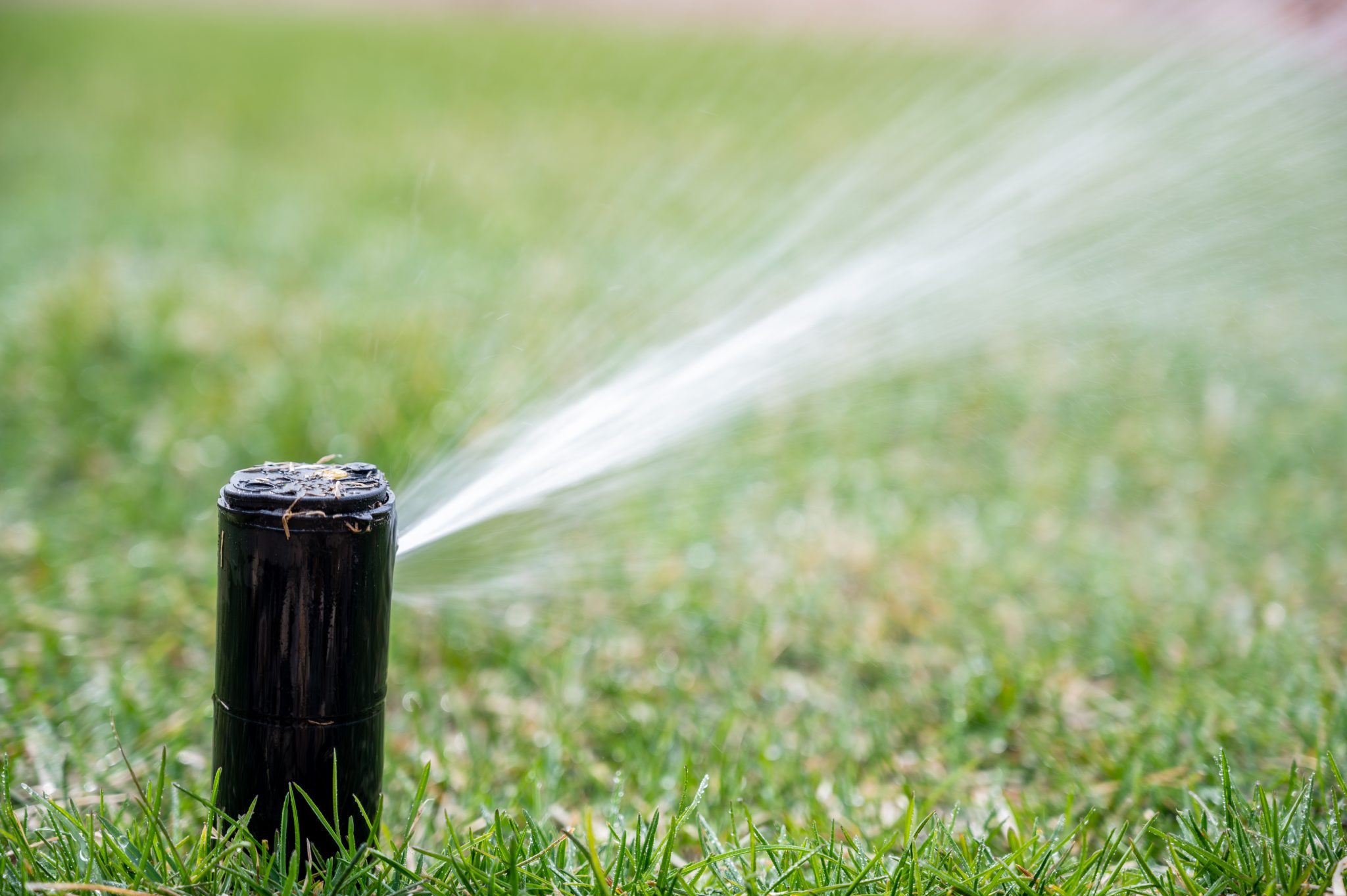 Top 3 Reasons to Install a Home Irrigation System Cutting Edge