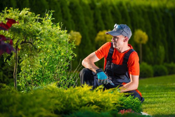 Why Hire A Landscaping Company?