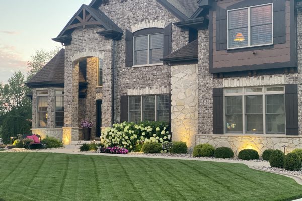 Sod vs. Seed: Which One to Choose?