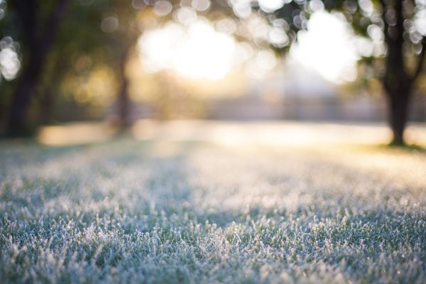 How Can I Prepare My Lawn For Winter?