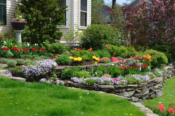 How Can I Keep My Yard Healthy?