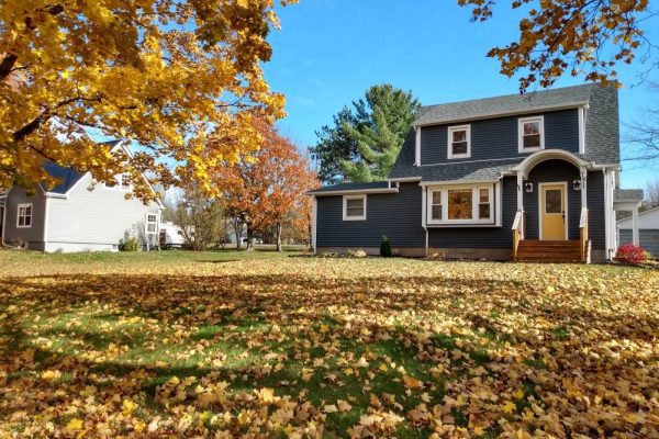 Are Leaves Harmful to Your Lawn?