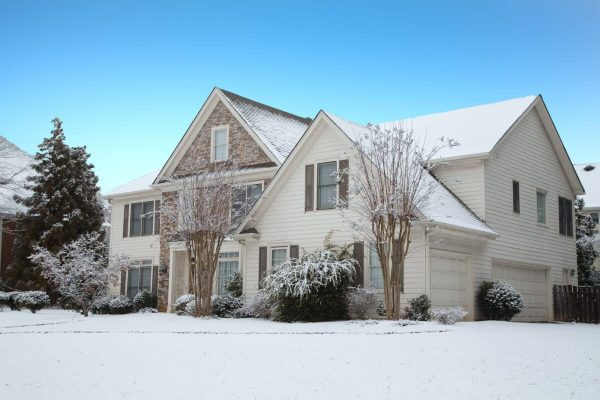 5 Strategies to Protect Your Landscaping From Winter Pests and Wildlife  