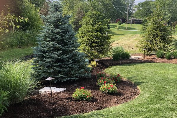 Plantings and Design for a Year-Round Outdoor Oasis