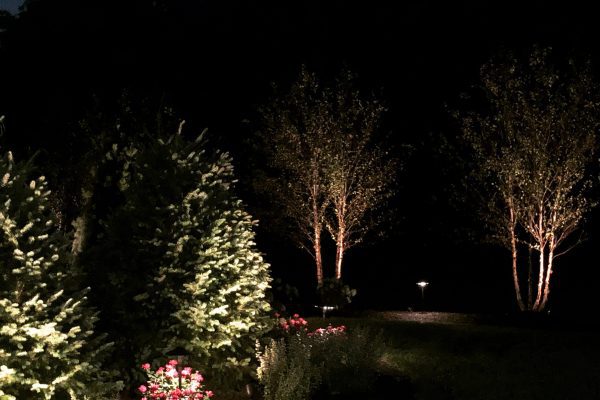 Create a Winter Wonderland: Ideas for Designing an Inviting Yard