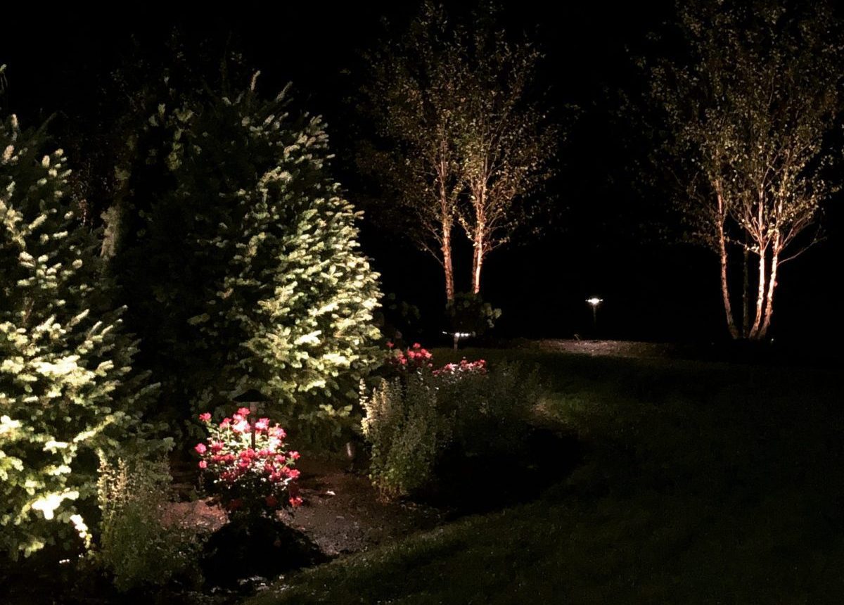 Create a Winter Wonderland: Ideas for Designing an Inviting Yard