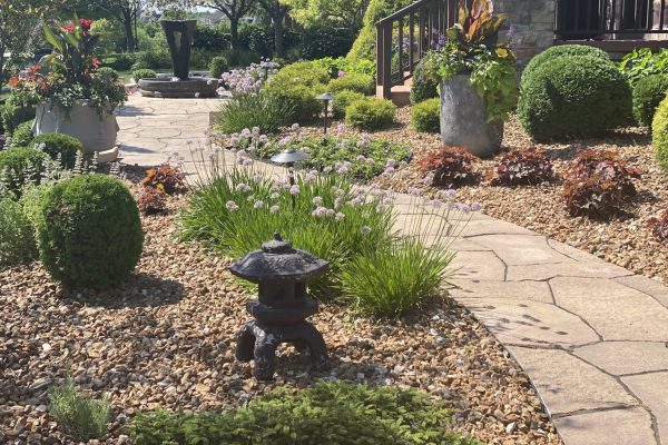 What Are the Best Lawn Alternatives to Grass?