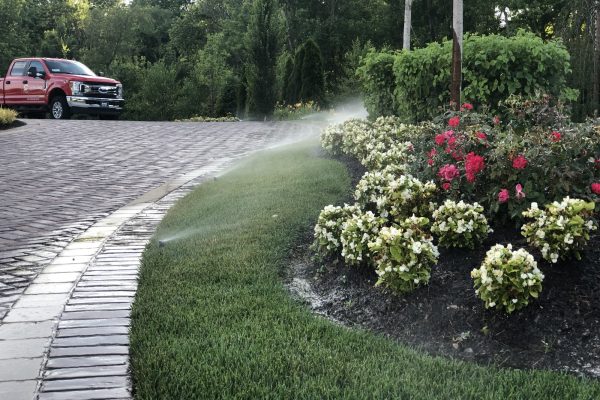 How to Design a Landscape That Thrives With Minimal Watering